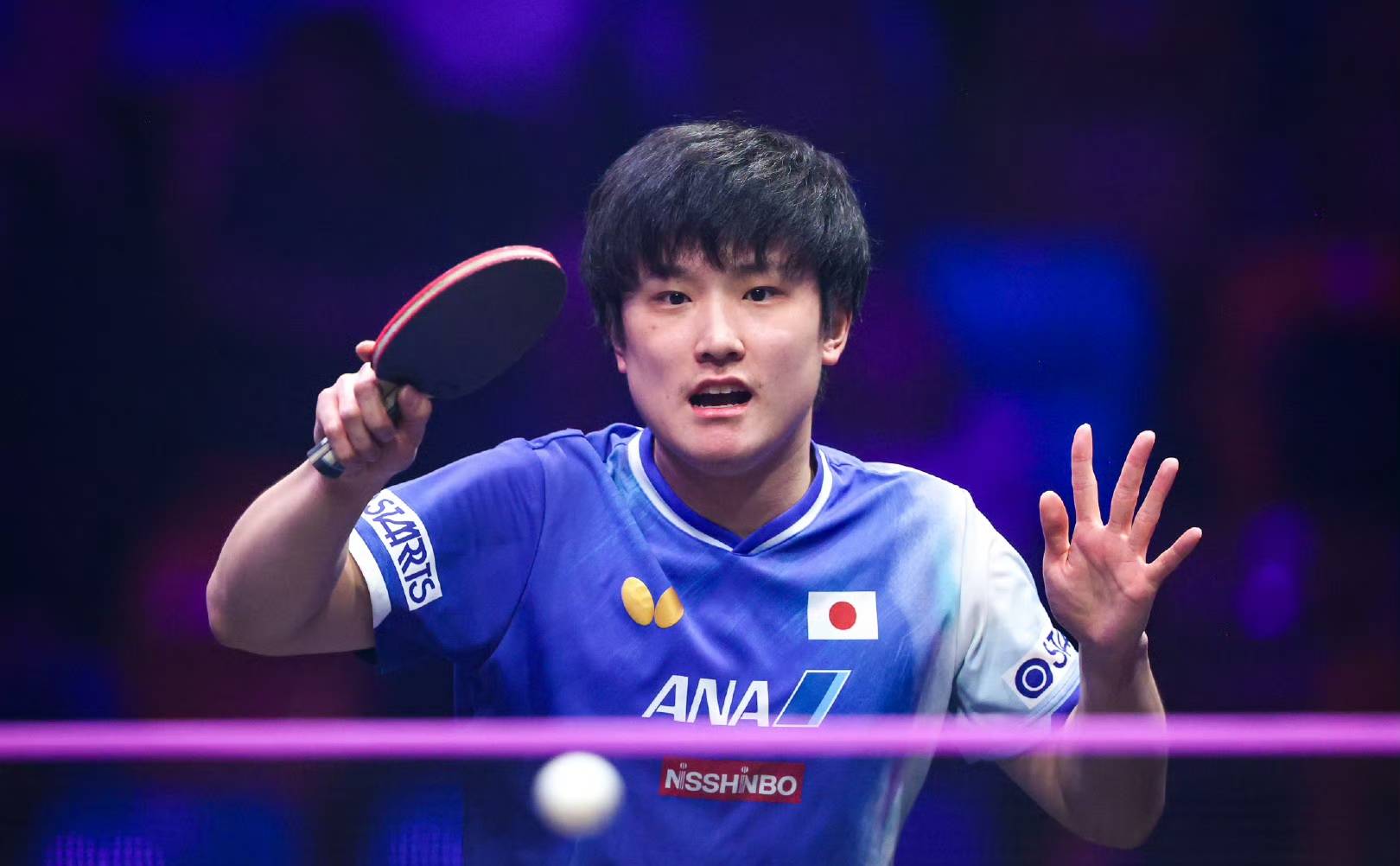 世俱杯冠军-包含波兰队完胜德国队，张本智和点燃赛场的词条